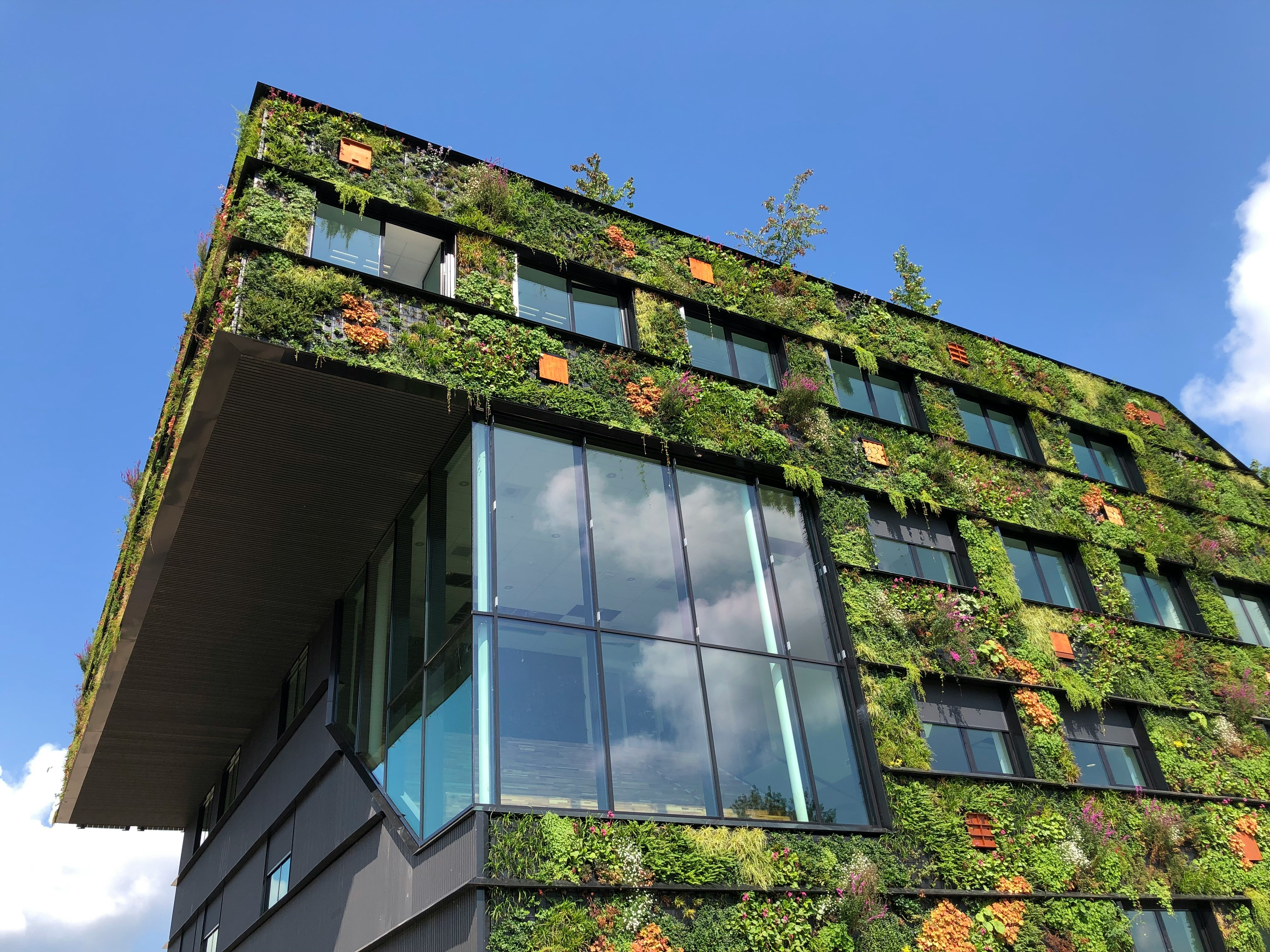 Beautiful vertical garden